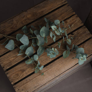 Artificial Flora - Variegated Eucalyptus