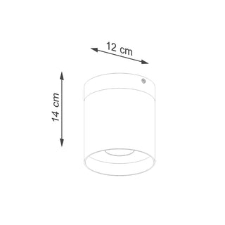 Ceiling lamp RIF black