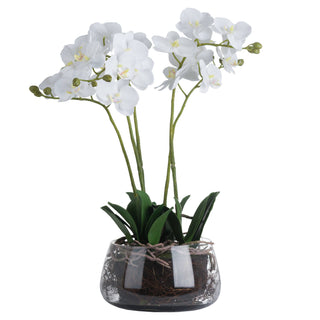 White Orchid in Glass Pot – Elegant Faux Plant