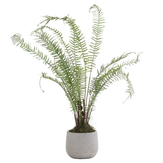 Artificial Potted Plant - Boston Large Potted Fern