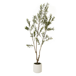 Artificial Apulia Olive Tree in Elegant White Pot