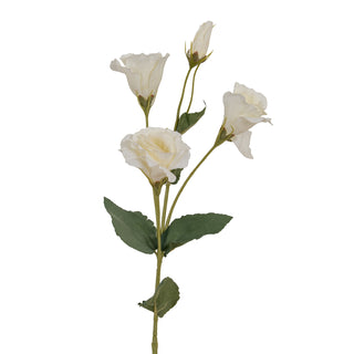 White Lisianthus Spray