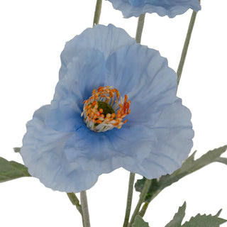 Blue Papaver Poppy Spray