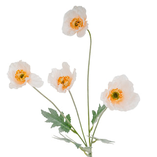 Cream Papaver Poppy Spray