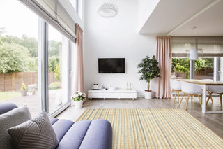 Cream and Grey Rug in Modern home
