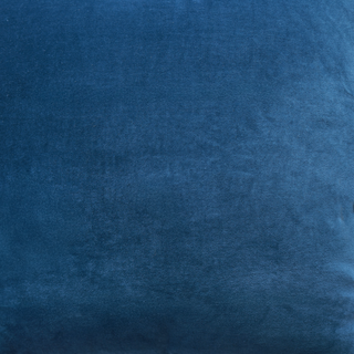 Asher Velvet Cushion - Feathers Filler