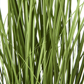 Close detail of the artificial green, grass-like agapanthus foliage.