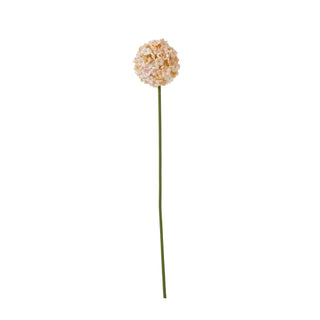 Plain front-on view of the artificial allium stem with white and apricot flower head.
