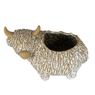 Ceramic highland cow planter viewed from the front left, showing the cavity for planting.