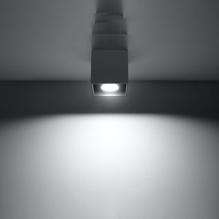 Anthracite quad light mounted on ceiling, showing the bright, focused downward light output.