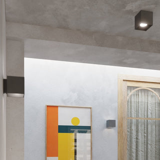 Anthracite quad lights used as a ceiling fixture, a wall uplight, and a wall sconce in a modern hallway setting.