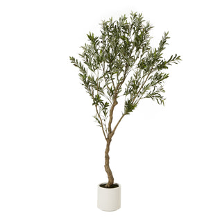 Plain front-on studio shot of the artificial olive tree in a white pot.