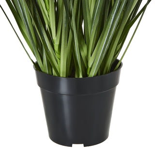 Artificial agapanthus base. Black plastic nursery pot and dense green leaves.
