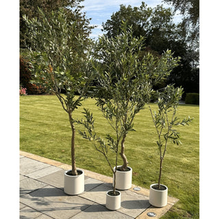 Four artificial olive trees of different heights displayed together on a patio next to a lawn.