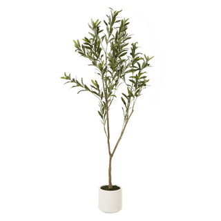 Full length studio shot of the artificial olive tree with slender branches and green leaves in a white pot.