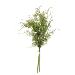 Artificial asparagus fern bunch of feathery green foliage and tied stems, shot front-on on white.