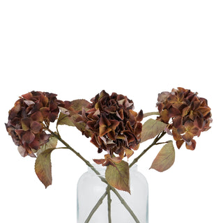 Three artificial autumn brown hydrangea stems grouped in a clear glass vase on a white background.