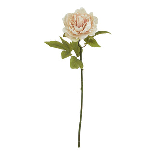 Plain front-on shot of a single artificial blush peony stem with green foliage.