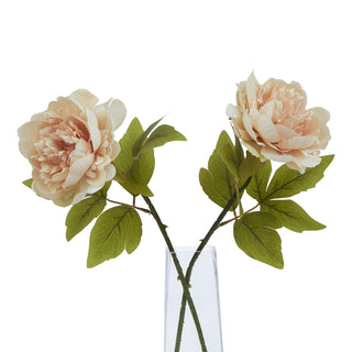 Two artificial blush peony stems arranged in a clear glass vase against a white background.