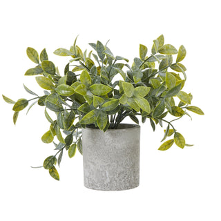Artificial box plant with varied green foliage in a cylindrical, textured grey pot. Plain front-on product shot.
