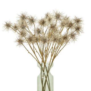 Multiple brown xanthium stems arranged in a pale green glass vase against a white background.