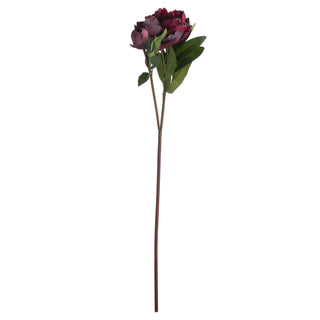 Full length view of a single artificial burgundy peony rose stem against a white background.