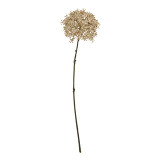 Plain front-on product shot of the artificial Coffee Allium stem with a spherical head of beige, star-shaped florets.