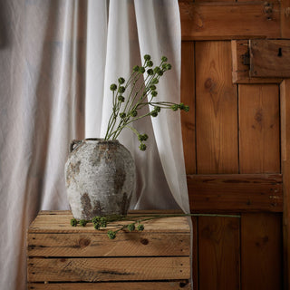 Craspedia stems in a rustic vase on a wooden crate, set against sheer white curtains and a wooden door.