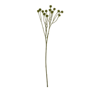 Full length studio shot of the single artificial Craspedia stem with green spherical heads against white.