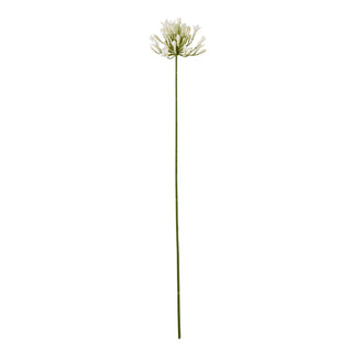 Artificial cream agapanthus floral spray with a long green stem, presented front-on on white.