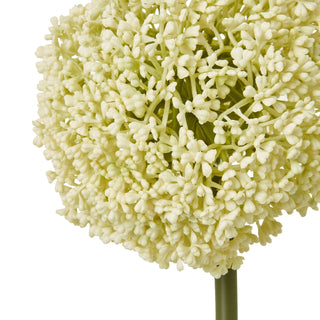 Detail shot of the artificial allium bloom, highlighting the densely packed cream florets.
