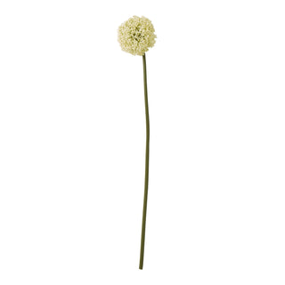 Front-on product photograph of the artificial cream allium stem on a plain white background.