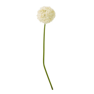 Single artificial cream allium stem shown full length on a white background. Spherical flower head and green stem.