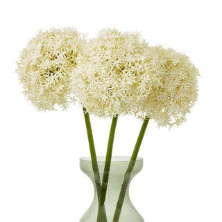 Three artificial cream allium stems arranged in a pale green glass vase against a white background.