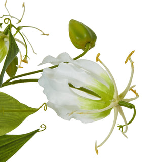 Detail shot of the artificial cream Gloriosa flower with green base, stamens, and a large green bud.