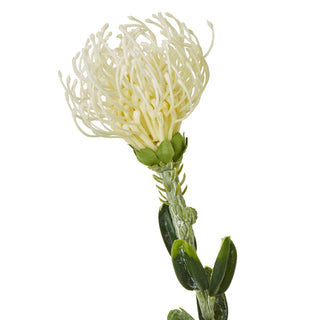 Close-up of the artificial cream protea bloom showing the delicate, spiky filaments and textured green stem.