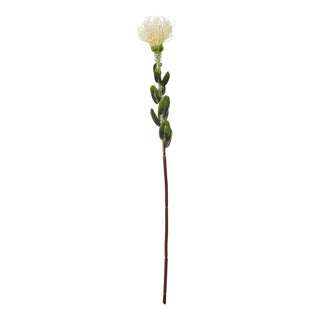 Plain front-on studio shot of a single artificial cream protea spray with green leaves and a long brown stem.