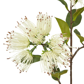Detailed view of the artificial cream protea flower cluster, highlighting the thread-like petals and brown tips.