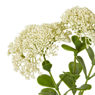 Close detail of the dense cream flower heads and rounded bright green leaves of the artificial sedum.