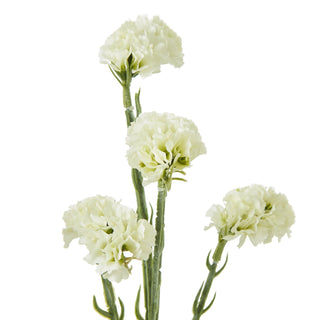 Detailed view of the four artificial cream statice flower heads and fuzzy green stems.