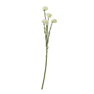 Artificial cream statice spray with four flower heads and a long green stem, photographed front-on against white.