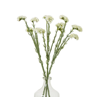 Several artificial cream statice stems displayed in a clear glass vase.