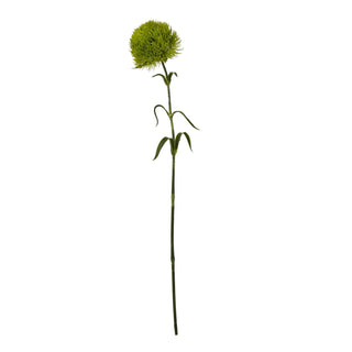 Plain front-on shot of a single artificial dianthus stem featuring a fluffy light green flower head and long green stem.