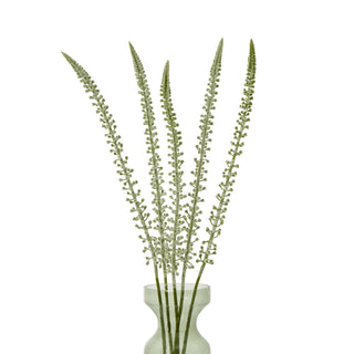 Grouping of five artificial Eremurus stems with green buds in a pale glass vase.