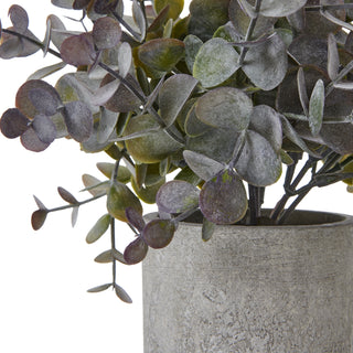 Close up of the artificial dusty eucalyptus leaves and the rough texture of the grey pot.