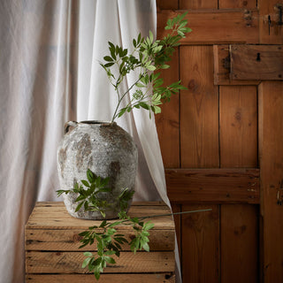 Long fennel stem in a large textured vase sitting on a wooden crate, styled against a rustic wooden door.
