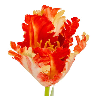 Detailed view of the artificial parrot tulip bloom, showing the ruffled orange and red petals and yellow stamens.