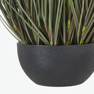 Close detail of the textured, matte black rounded pot, showing the rough surface finish.