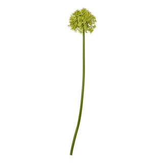 Artificial green allium stem with a spherical head of lime green florets, shot front-on against a white background.