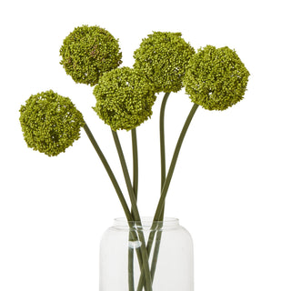 Five artificial green allium stems arranged in a clear glass vase.